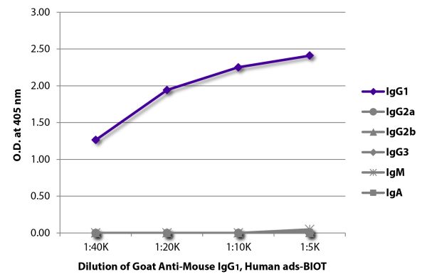 ELISA plate was coated with purified mouse IgG<sub>1</sub>, IgG<sub>2a</sub>, IgG<sub>2b</sub>, IgG<sub>3</sub>, IgM, and IgA.  Immunoglobulins were detected with serially diluted Goat Anti-Mouse IgG<sub>1</sub>, Human ads-BIOT (SB Cat. No. 1070-08) follo