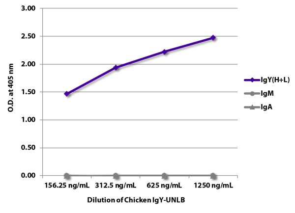 ELISA plate was coated with serially diluted Chicken IgY-UNLB (SB Cat. No. 0170-01).  Immunoglobulin was detected with Goat Anti-Chicken IgY(H+L)-BIOT (SB Cat. No. 6100-08),  Mouse Anti-Chicken IgM-BIOT (SB Cat. No. 8300-08), and Mouse Anti-Chicken IgA-BI
