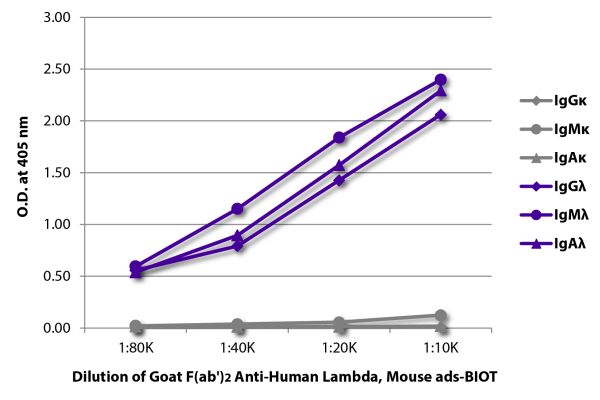 ELISA plate was coated with purified human IgGκ, IgMκ, IgAκ, IgGλ, IgMλ, and IgAλ.  Immunoglobulins were detected with serially diluted Goat F(ab')<sub>2</sub> Anti-Human Lambda, Mouse ads-BIOT (SB Cat. No. 2073-08) followed by Streptavidin-HRP (SB Cat. N