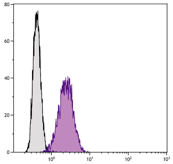 Human histiocytic lymphoma cell line U-937 was stained with Mouse Anti-Human CD105-FITC (SB Cat. No. 9811-02).