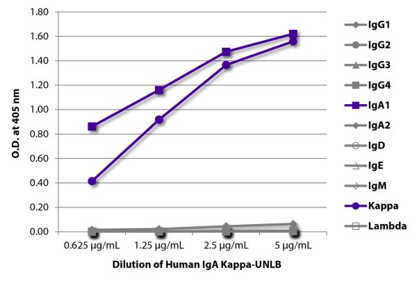 ELISA plate was coated with serially diluted Human IgA Kappa-UNLB (SB Cat. No. 0155K-01).  Immunoglobulin was detected with Mouse Anti-Human IgG<sub>1</sub> Hinge-BIOT (SB Cat. No. 9052-08), Mouse Anti-Human IgG<sub>2</sub> Fc-BIOT (SB Cat. No. 9060-08), 