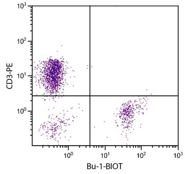 Chicken peripheral blood lymphocytes were stained with Mouse Anti-Chicken Bu-1-BIOT (SB Cat. No. 8395-08) and Mouse Anti-Chicken CD3-PE (SB Cat. No. 8200-09) followed by Streptavidin-FITC (SB Cat. No. 7100-02).