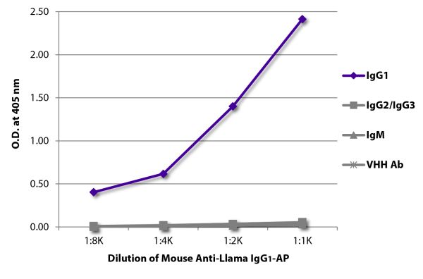 ELISA plate was coated with purified llama IgG<sub>1</sub>, IgG<sub>2</sub>/IgG<sub>3</sub>,  IgM, and a VHH antibody.  Immunoglobulins were detected with Mouse Anti-Llama IgG<sub>1</sub>-AP (SB Cat. No. 5870-04).