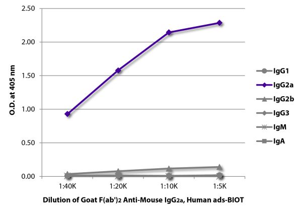 ELISA plate was coated with purified mouse IgG<sub>1</sub>, IgG<sub>2a</sub>, IgG<sub>2b</sub>, IgG<sub>3</sub>, IgM, and IgA.  Immunoglobulins were detected with serially diluted Goat F(ab')<sub>2</sub> Anti-Mouse IgG<sub>2a</sub>, Human ads-BIOT (SB Cat