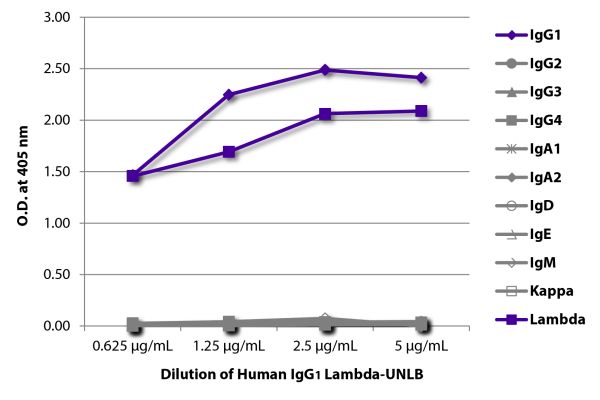 ELISA plate was coated with serially diluted Human IgG<sub>1</sub> Lambda-UNLB (SB Cat. No. 0151L-01).  Immunoglobulin was detected with Mouse Anti-Human IgG<sub>1</sub> Hinge-BIOT (SB Cat. No. 9052-08), Mouse Anti-Human IgG<sub>2</sub> Fc-BIOT (SB Cat. N