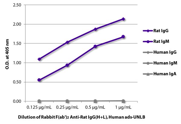 ELISA plate was coated with purified rat IgG and IgM and human IgG, IgM, and IgA.  Immunoglobulins were detected with serially diluted Rabbit F(ab')<sub>2</sub> Anti-Rat IgG(H+L), Human ads-UNLB (SB Cat. No. 6135-01) followed by Goat Anti-Rabbit IgG(H+L),