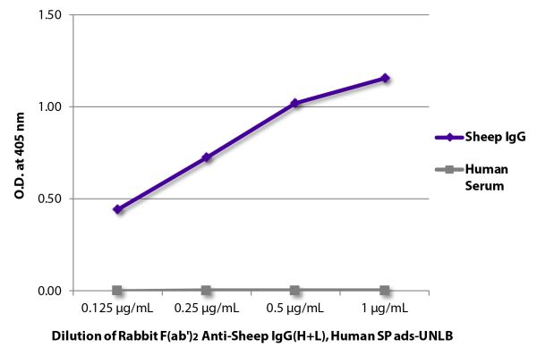 ELISA plate was coated with purified sheep IgG and human serum.  Immunoglobulins and serum were detected with Rabbit F(ab')<sub>2</sub> Anti-Sheep IgG(H+L), Human SP ads-UNLB (SB Cat. No. 6016-01) followed by Goat Anti-Rabbit IgG(H+L), Mouse/Human ads-HRP