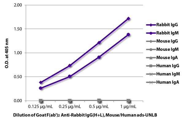 ELISA plate was coated with purified rabbit IgG and IgM, mouse IgG, IgM, and IgA, and human IgG, IgM, and IgA.  Immunoglobulins were detected with serially diluted Goat F(ab')<sub>2</sub> Anti-Rabbit IgG(H+L), Mouse/Human ads-UNLB (SB Cat. No. 4052-01) fo