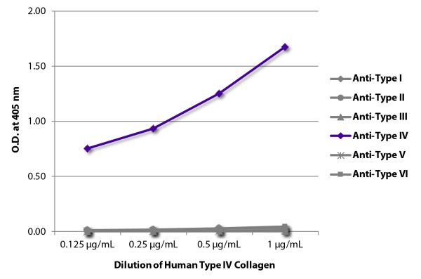 ELISA plate was coated with serially diluted Human Type IV Collagen (SB Cat. No. 1250-01S).  Purified collagen was detected with Goat Anti-Type I Collagen-BIOT (SB Cat. No. 1310-08), Goat Anti-Type II Collagen-BIOT (SB Cat. No. 1320-08), Goat Anti-Type II