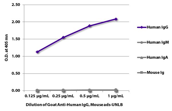 ELISA plate was coated with purified human IgG, IgM, and IgA, and mouse IgG, IgM, and IgA (mouse Ig).  Immunoglobulins were detected with serially diluted Goat Anti-Human IgG, Mouse ads-UNLB (SB Cat. No. 2044-01) followed by Swine Anti-Goat IgG(H+L), Huma