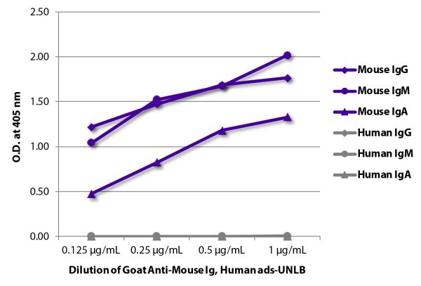 ELISA plate was coated with purified mouse IgG, IgM, and IgA and human IgG, IgM, and IgA.  Immunoglobulins were detected with serially diluted Goat Anti-Mouse Ig, Human ads-UNLB (SB Cat. No. 1010-01) followed by Mouse Anti-Goat IgG Fc-HRP (SB Cat. No. 615