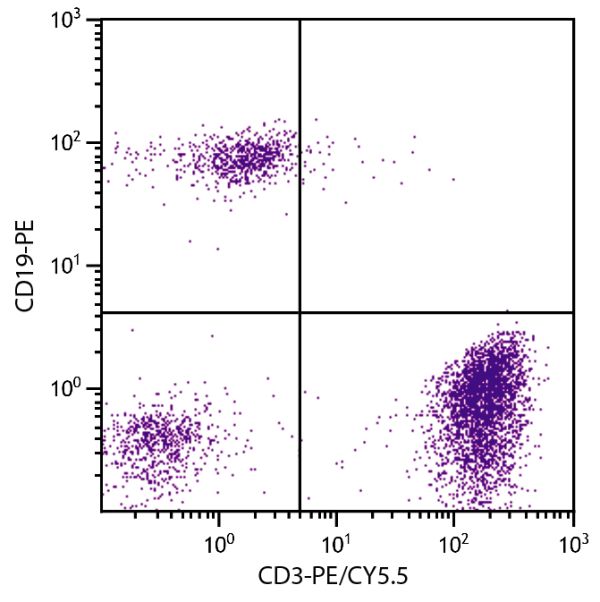 Human peripheral blood lymphocytes were stained with Mouse Anti-Human CD3-PE/CY5.5 (SB Cat. No. 9515-16) and Mouse Anti-Human CD19-PE (SB Cat. No. 9340-09).