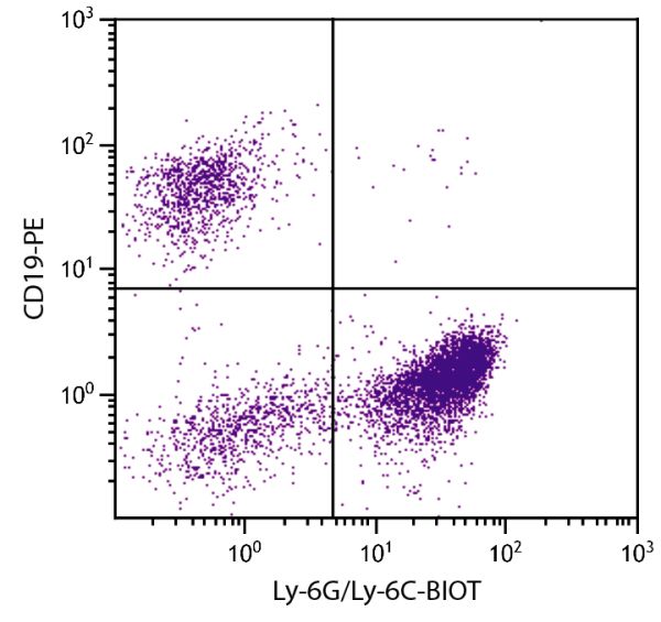 BALB/c mouse bone marrow cells were stained with Rat Anti-Mouse Ly-6G/Ly-6C-BIOT (SB Cat. No. 1900-08) and Rat Anti-Mouse CD19-PE (SB Cat. No. 1575-09) followed by Streptavidin-FITC (SB Cat. No. 7100-02).