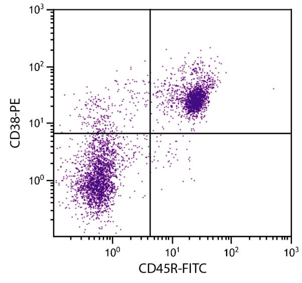 BALB/c mouse splenocytes were stained with Rat Anti-Mouse CD38-PE (SB Cat. No. 1635-09) and Rat Anti-Mouse CD45R-FITC (SB Cat. No. 1665-02).