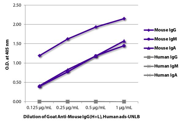 ELISA plate was coated with purified mouse IgG, IgM, and IgA and human IgG, IgM, and IgA.  Immunoglobulins were detected with serially diluted Goat Anti-Mouse IgG(H+L), Human ads-UNLB (SB Cat. No. 1031-01) followed by Mouse Anti-Goat IgG Fc-HRP (SB Cat. N
