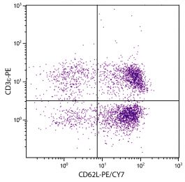 PE/CY7 Anti-Mouse CD62L, MEL-14 | SouthernBiotech