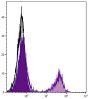 BALB/c mouse splenocytes were stained with Hamster Anti-Mouse CD3ε-UNLB (SB Cat. No. 1531-01) followed by Goat Anti-Hamster IgG(H+L), Mouse/Rat ads-PE (SB Cat. No. 6061-09).