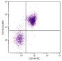 BALB/c mouse splenocytes were stained with Rat Anti-Mouse CD16/32-APC (SB Cat. No. 1630-11) and Rat Anti-Mouse CD19-FITC (SB Cat. No. 1575-02).