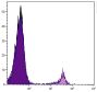 Chicken peripheral blood lymphocytes were stained with Mouse Anti-Chicken CD8α-BIOT (SB Cat. No. 8390-08) followed by Streptavidin-FITC (SB Cat. No. 7100-02).