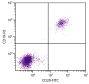 Human peripheral blood lymphocytes were stained with Mouse Anti-Human CD20-FITC (SB Cat. No. 9350-02S) and Mouse Anti-Human CD19-PE (SB Cat. No. 9340-09).