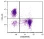 BALB/c mouse splenocytes were stained with Rat Anti-Mouse CD45R-FITC (SB Cat. No. 1665-02S) and Rat Anti-Mouse CD3ε-PE (SB Cat. No. 1535-09).