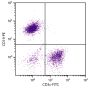 BALB/c mouse splenocytes were stained with Hamster Anti-Mouse CD3ε-FITC (SB Cat. No. 1530-02S) and Rat Anti-Mouse CD19-PE (SB Cat. No. 1575-09).