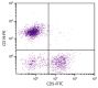 BALB/c mouse splenocytes were stained with Rat Anti-Mouse CD5-FITC (SB Cat. No. 1546-02S) and Rat Anti-Mouse CD19-PE (SB Cat. No. 1575-09).