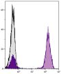 Human peripheral blood lymphocytes were stained with Mouse Anti-Human CD3-UNLB followed by Goat Anti-Mouse IgG<sub>1</sub>, Human ads-PE (SB Cat. No. 1070-09S).