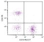 C57BL/6 mouse splenocytes were stained with Rat Anti-Mouse CD19-PE/CY7 (SB Cat. No. 1575-17) and Rat Anti-Mouse CD4-PE (SB Cat. No. 1540-09).