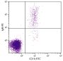 Human peripheral blood lymphocytes were stained with Mouse Anti-Human IgM-PE (SB Cat. No. 9020-09) and Mouse Anti-Human CD19-FITC (SB Cat. No. 9340-02).