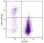 BALB/c mouse splenocytes were stained with Rat Anti-Mouse CD90.2-PACBLU (SB Cat. No. 1750-26) and Rat Anti-Mouse CD19-PE (SB Cat. No. 1575-09).