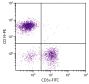 BALB/c mouse splenocytes were stained with Rat Anti-Mouse CD19-PE (SB Cat. No. 1575-09) and Rat Anti-Mouse CD3ε-FITC (SB Cat. No. 1535-02).