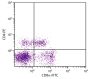 Porcine peripheral blood lymphocytes were stained with Mouse Anti-Porcine CD8α-FITC (SB Cat. No. 4520-02) and Mouse Anti-Porcine CD4-PE (SB Cat. No. 4515-09).