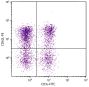 BALB/c mouse splenocytes were stained with Rat Anti-Mouse CD62L-PE (SB Cat. No. 1705-09) and Rat Anti-Mouse CD3ε-FITC (SB Cat. No. 1535-02).