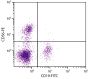 Human peripheral blood lymphocytes were stained with Mouse Anti-Human CD56-PE (SB Cat. No. 9456-09S) and Mouse Anti-Human CD19-FITC (SB Cat. No. 9340-02).