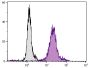 Human peripheral blood monocytes and granulocytes were stained with Mouse Anti-Human CD13-FITC (SB Cat. No. 9556-02S).