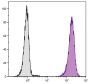 Human peripheral blood granulocytes were stained with Mouse Anti-Human CD11b-PE (SB Cat. No. 9546-09).