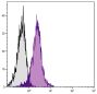 BALB/c mouse thymocytes were stained with Hamster Anti-Mouse CD28-FITC (SB Cat. No. 1615-02).