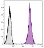 Human peripheral blood lymphocytes were stained with Mouse Anti-Human CD45-PE (SB Cat. No. 9625-09S).