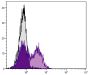 C57BL/6 mouse splenocytes were stained with Rat Anti-Mouse CD62L-AF488 (SB Cat. No. 1705-30).