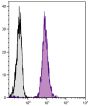 Human peripheral blood lymphocytes were stained with Mouse Anti-Human CD45-FITC (SB Cat. No. 9625-02S).