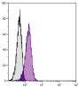 Human T cell leukemia cell line Jurkat was stained with Rabbit IgG-UNLB (SB Cat. No. 0111-01; gray) and Rabbit Anti-Human DR5-UNLB (SB Cat. No. 6600-01) followed by Mouse Anti-Rabbit IgG-PE (SB Cat. No. 4090-09).