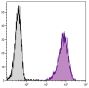 Mouse pre-B cell line 18-81 was stained with Rat Anti-Mouse BP-1-PE (SB Cat. No. 1770-09).