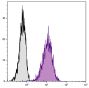 Human histiocytic lymphoma cell line U-937 was stained with Mouse Anti-Human CD105-AF647 (SB Cat. No. 9811-31).